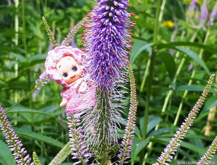 По следам уходящего лета — Болталка и разговоры обо всем: жизнь