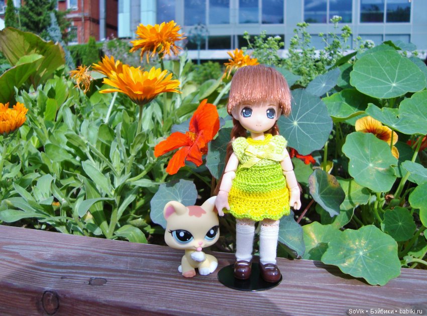 По следам уходящего лета — Болталка и разговоры обо всем: жизнь