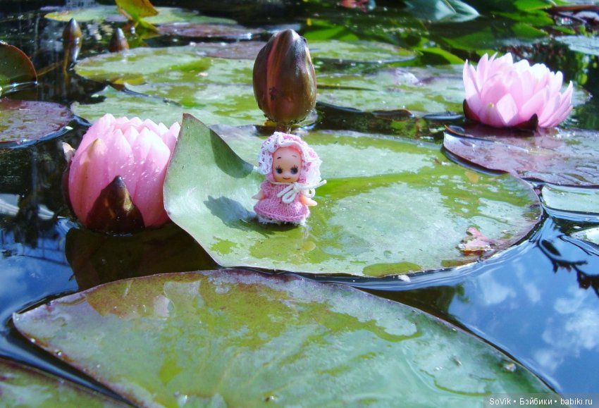 По следам уходящего лета — Болталка и разговоры обо всем: жизнь