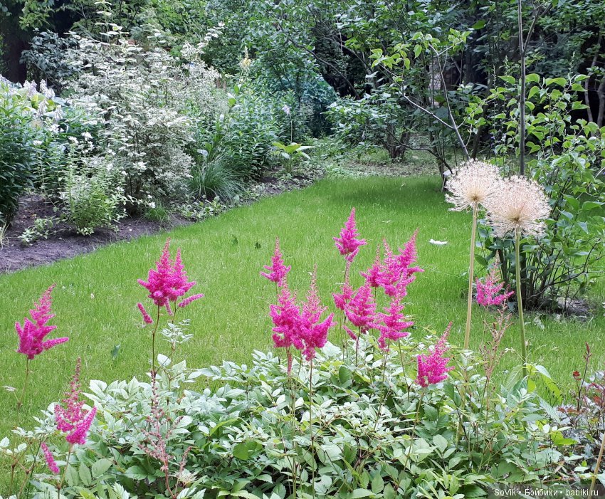 По следам уходящего лета — Болталка и разговоры обо всем: жизнь (фото 5)