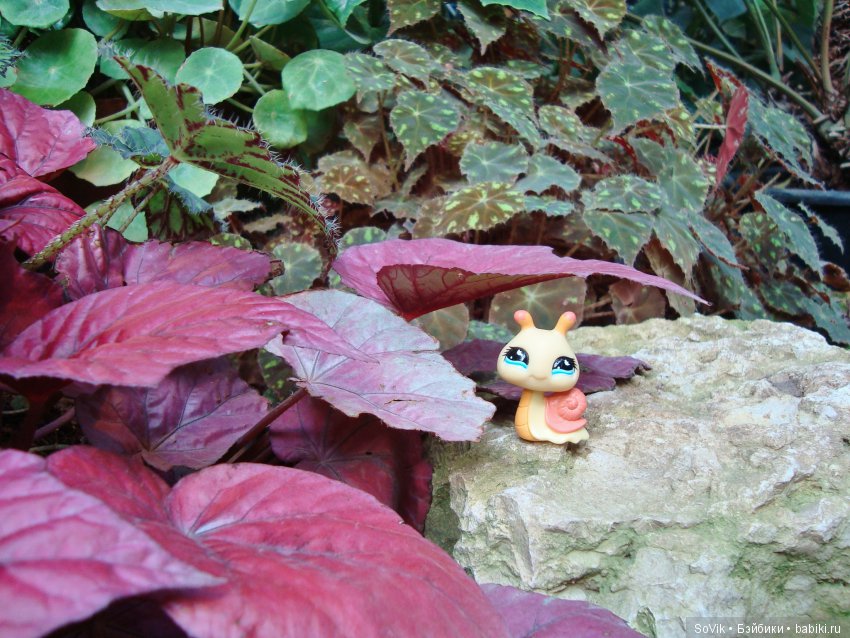 По следам уходящего лета — Болталка и разговоры обо всем: жизнь