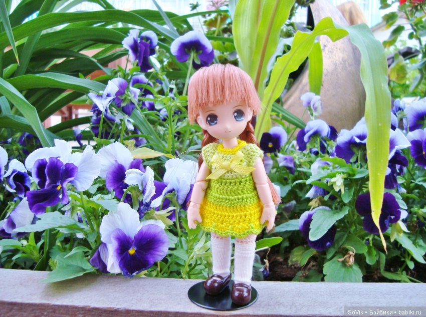 По следам уходящего лета — Болталка и разговоры обо всем: жизнь