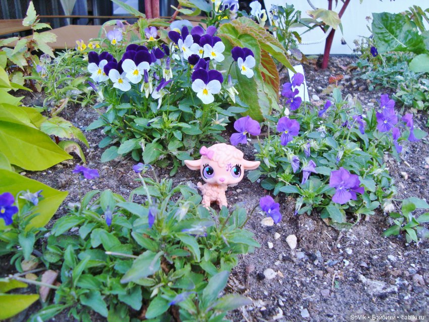 По следам уходящего лета — Болталка и разговоры обо всем: жизнь