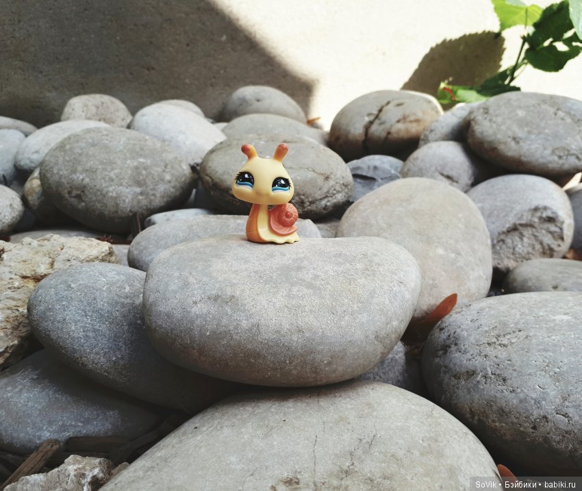 По следам уходящего лета — Болталка и разговоры обо всем: жизнь (фото 10)