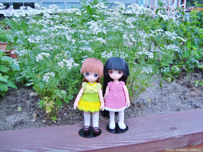 По следам уходящего лета — Болталка и разговоры обо всем: жизнь