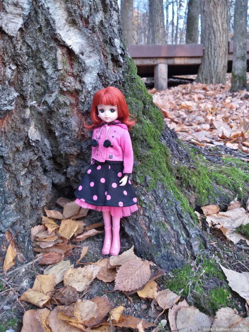 Октябрь уж наступил и роща отряхает последние листы с нагих своих ветвей (фото 7)