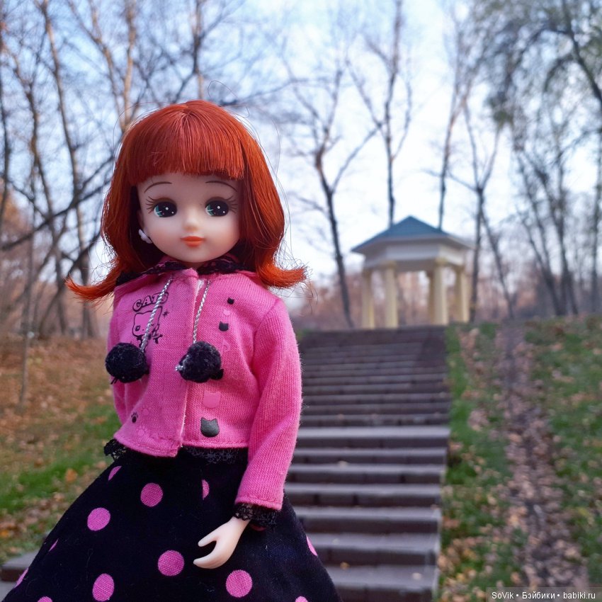 Октябрь уж наступил и роща отряхает последние листы с нагих своих ветвей (фото 4)