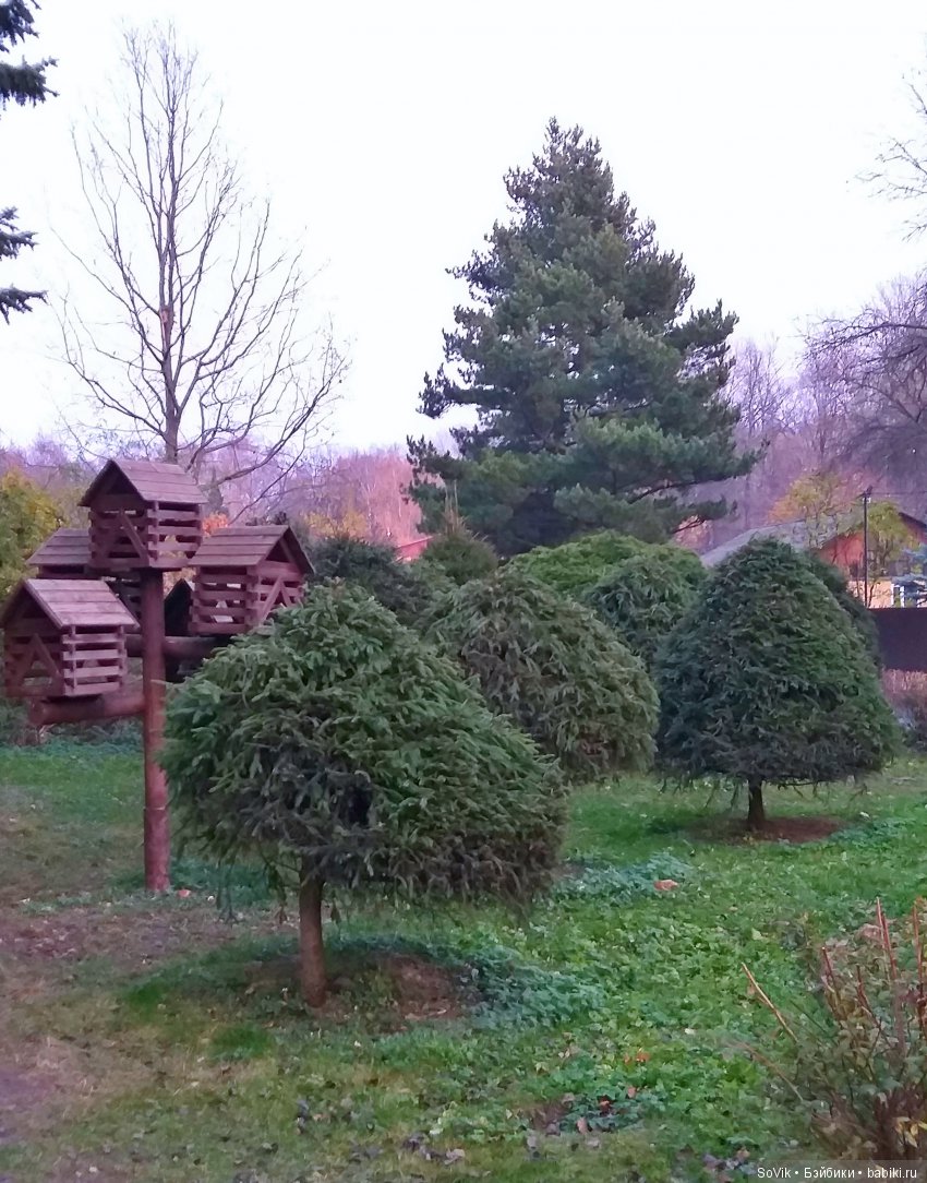 Октябрь уж наступил и роща отряхает последние листы с нагих своих ветвей