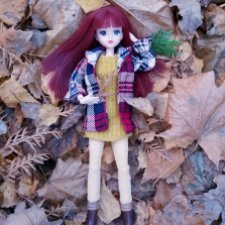 Октябрь уж наступил и роща отряхает последние листы с нагих своих ветвей