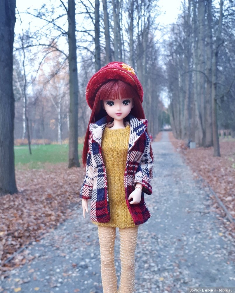 Октябрь уж наступил и роща отряхает последние листы с нагих своих ветвей (фото 5)