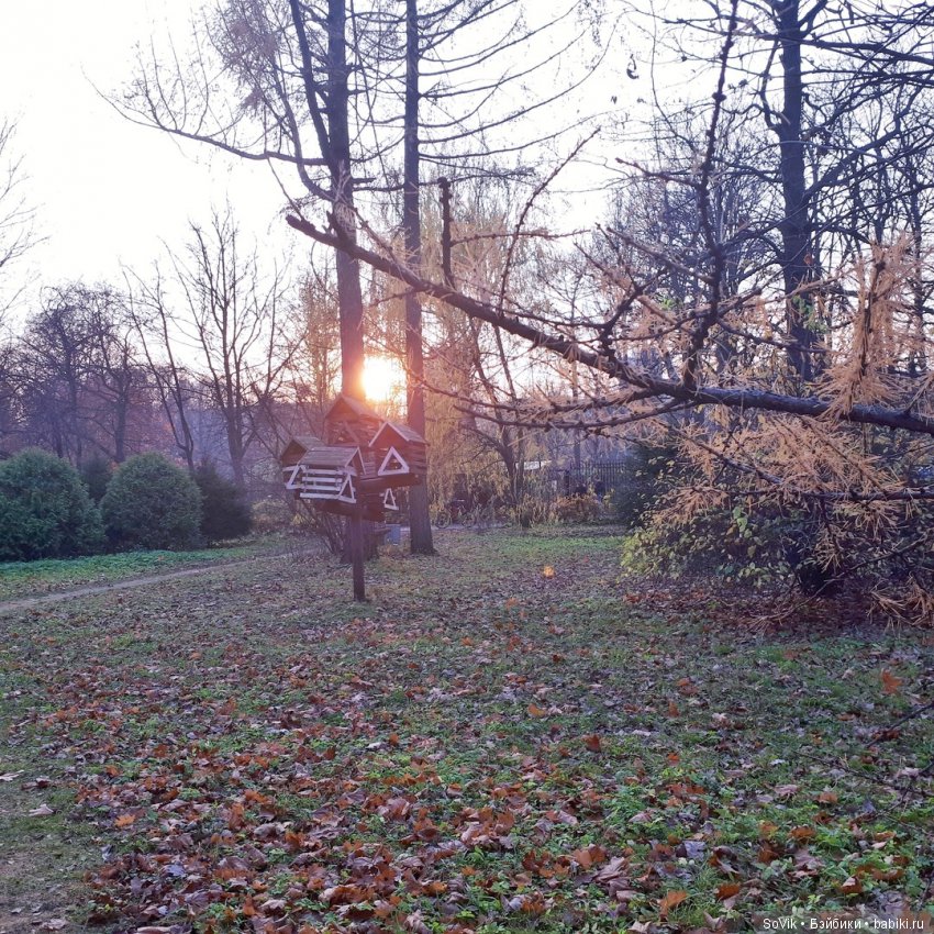 Октябрь уж наступил и роща отряхает последние листы с нагих своих ветвей