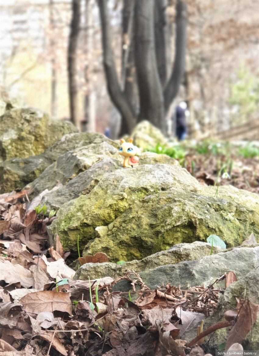 Заходите к нам в весну — Болталка и разговоры обо всем: жизнь (фото 9)