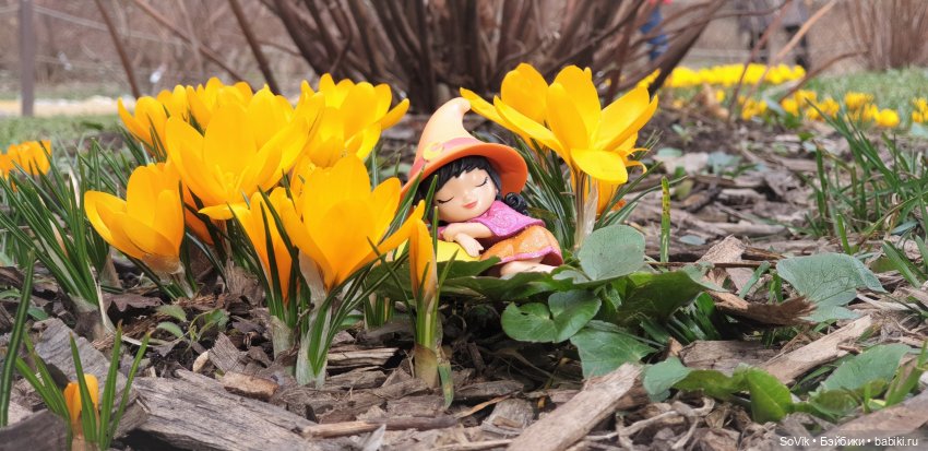 Заходите к нам в весну — Болталка и разговоры обо всем: жизнь (фото 3)