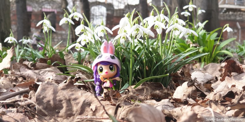 Заходите к нам в весну — Болталка и разговоры обо всем: жизнь (фото 5)