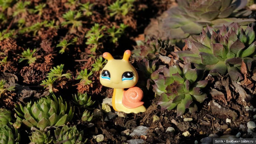 Заходите к нам в весну — Болталка и разговоры обо всем: жизнь