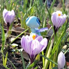 Заходите к нам в весну