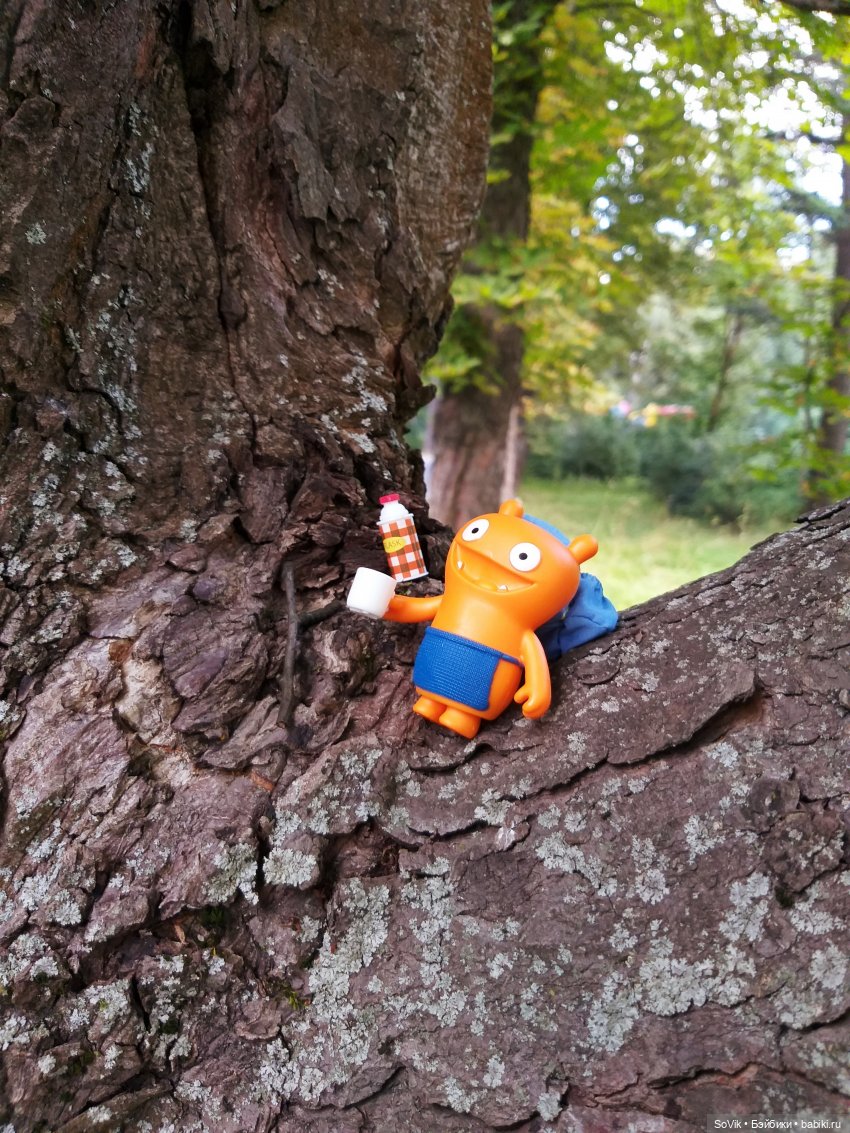 Страшный нестрашный лес — Болталка и разговоры обо всем: жизнь