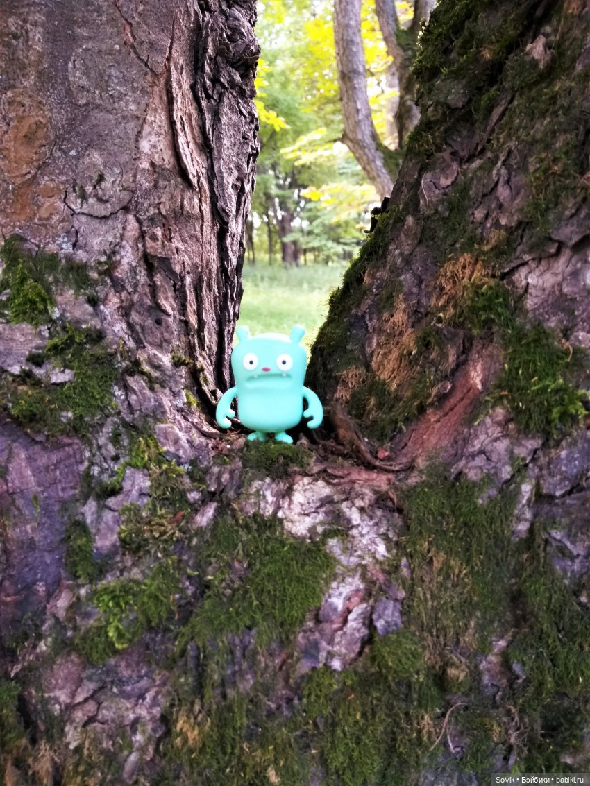 Страшный нестрашный лес — Болталка и разговоры обо всем: жизнь