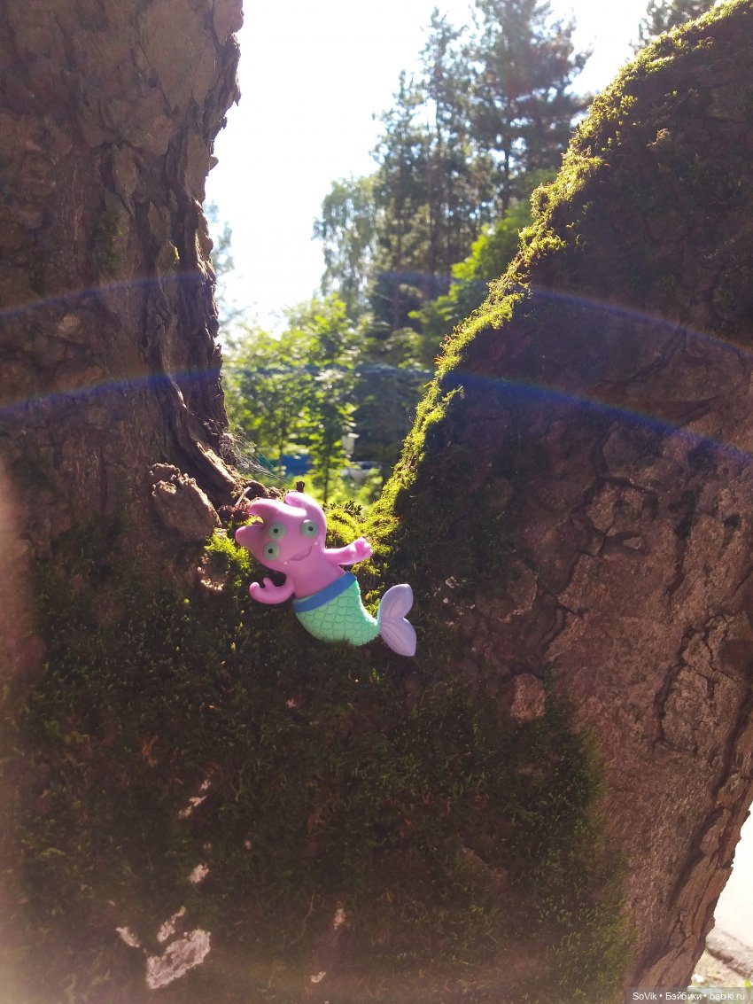 Страшный нестрашный лес — Болталка и разговоры обо всем: жизнь (фото 8)