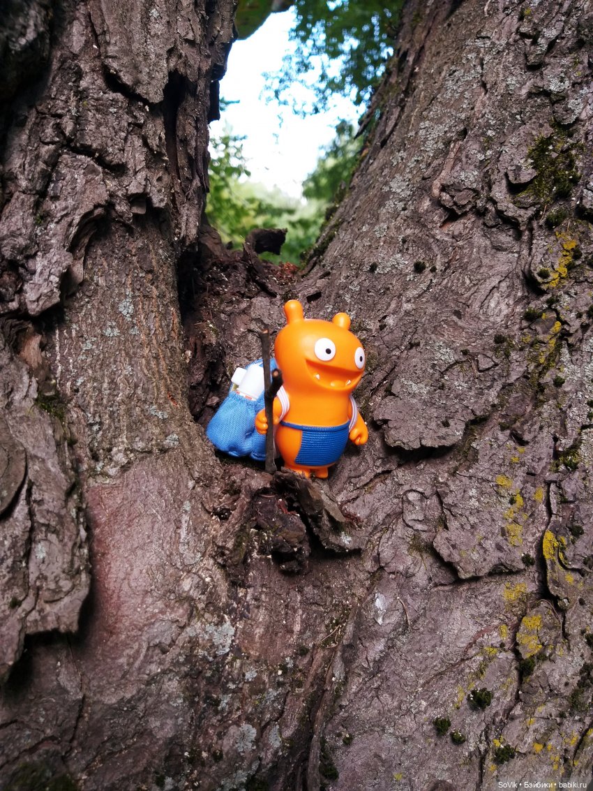 Страшный нестрашный лес — Болталка и разговоры обо всем: жизнь