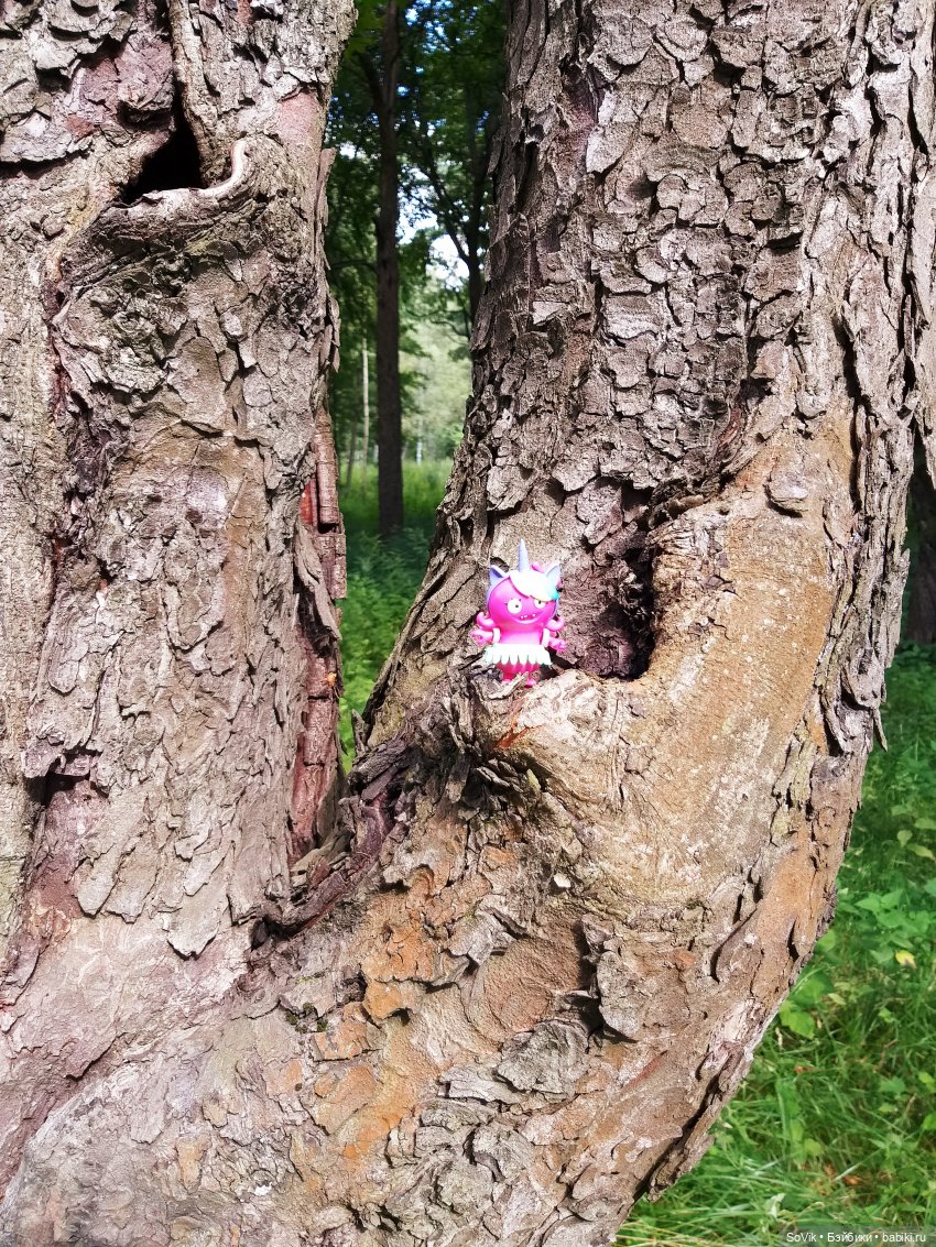 Страшный нестрашный лес — Болталка и разговоры обо всем: жизнь