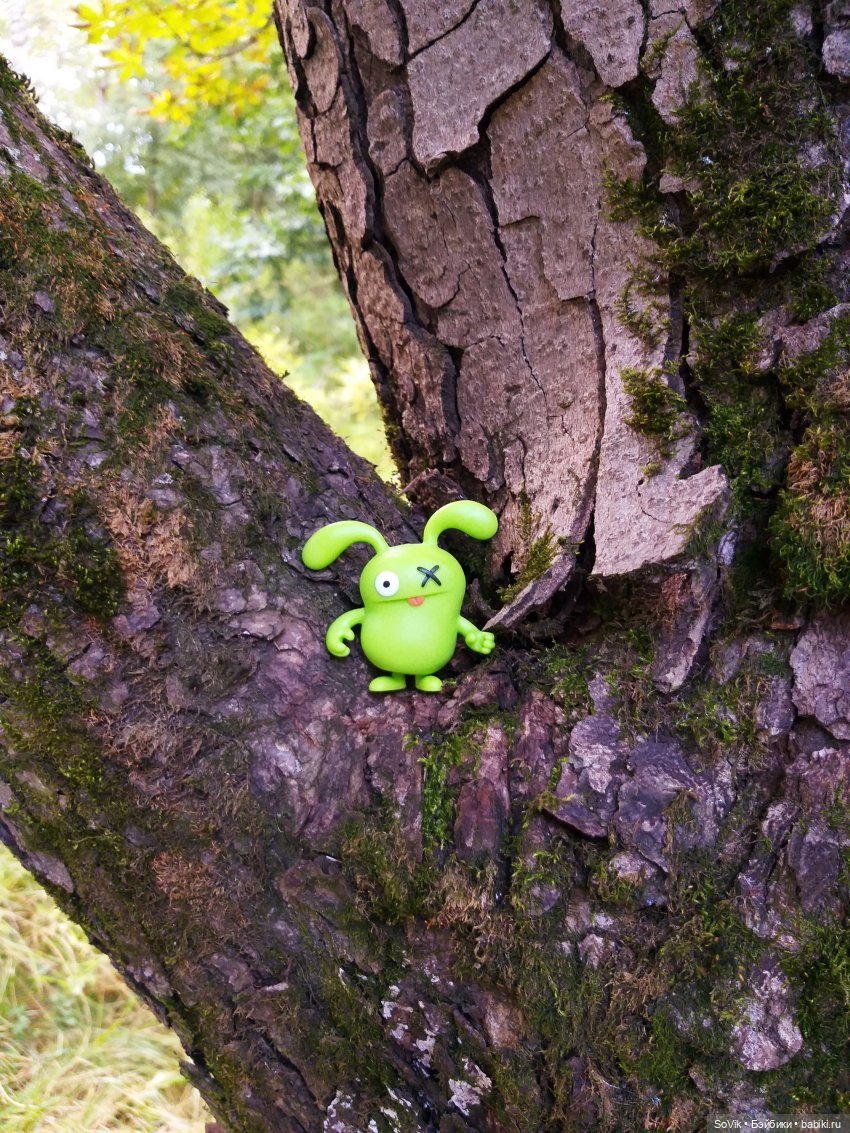 Страшный нестрашный лес — Болталка и разговоры обо всем: жизнь