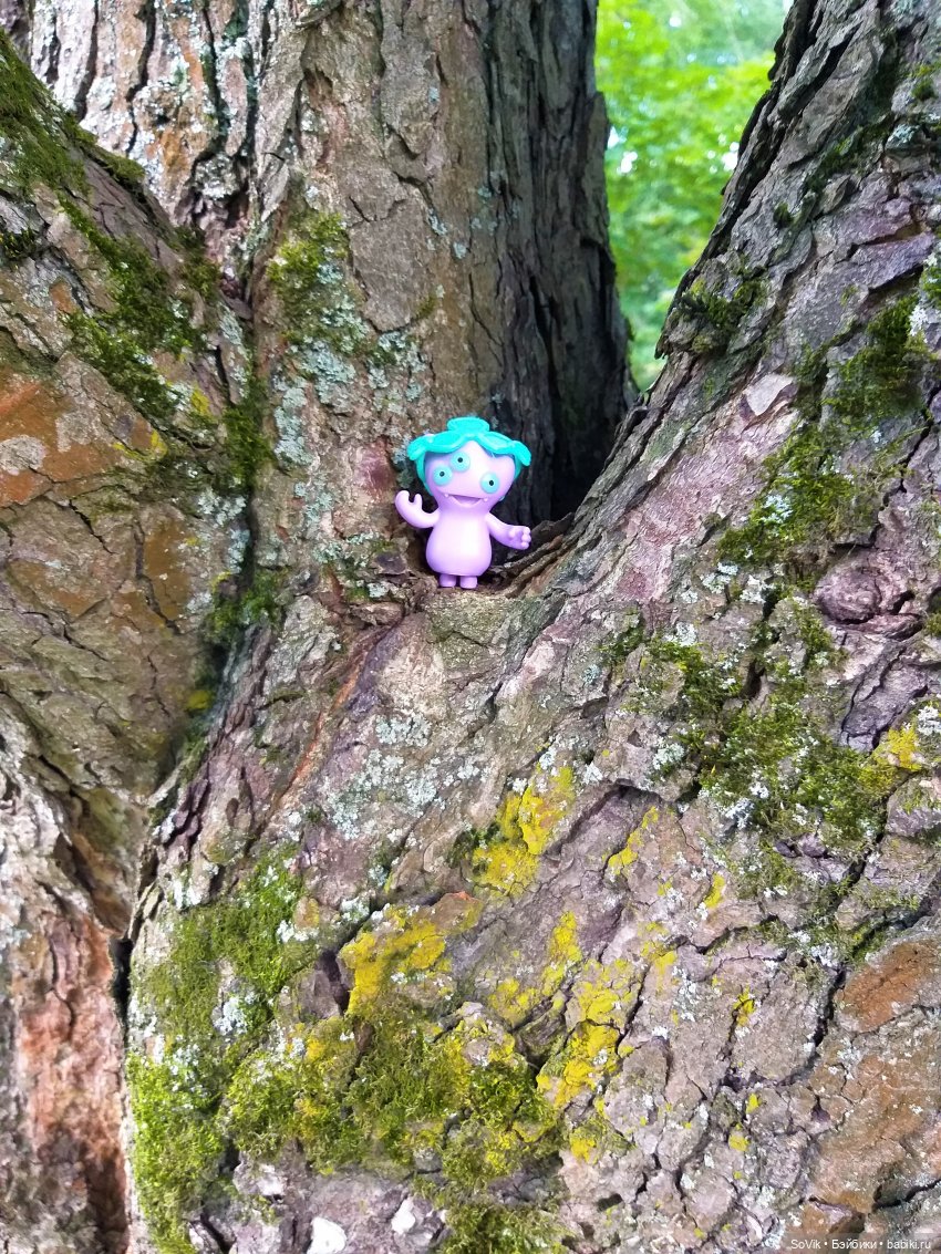 Страшный нестрашный лес — Болталка и разговоры обо всем: жизнь