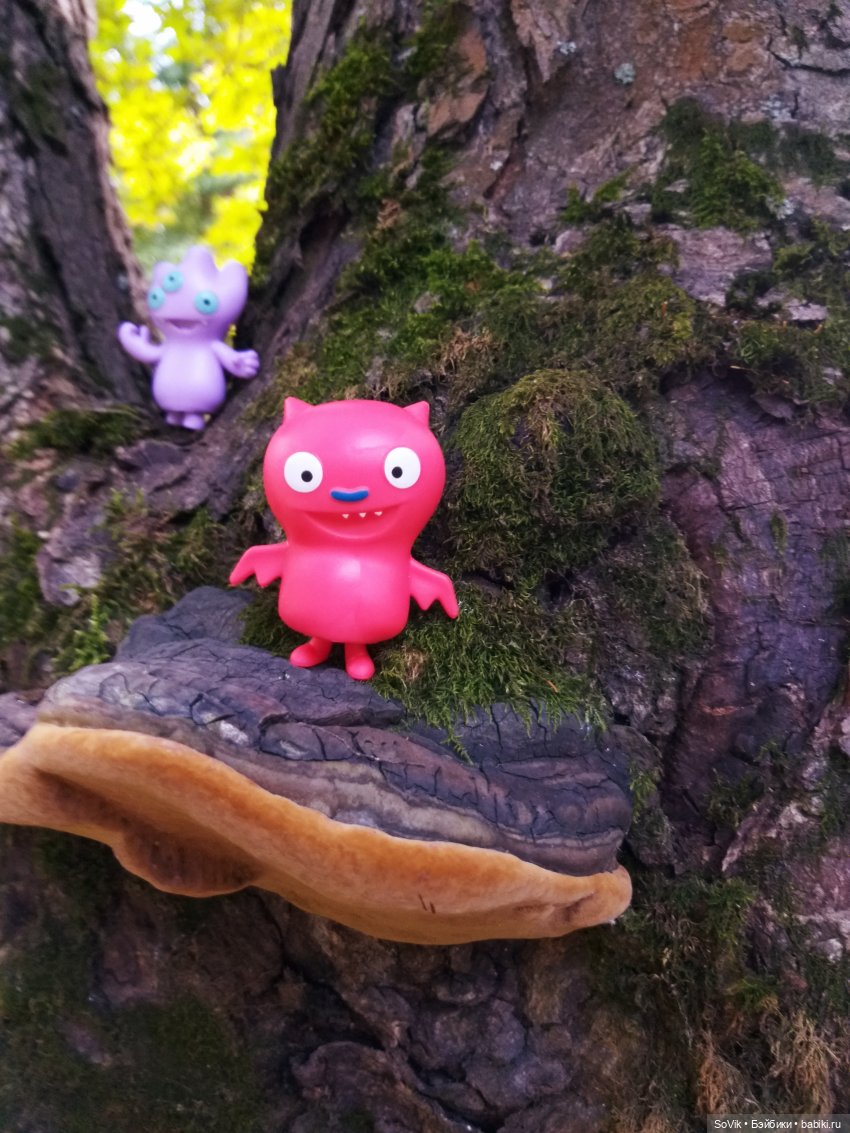 Страшный нестрашный лес — Болталка и разговоры обо всем: жизнь