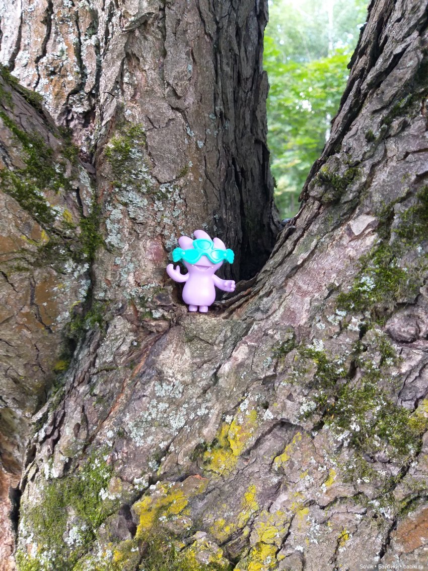 Страшный нестрашный лес — Болталка и разговоры обо всем: жизнь