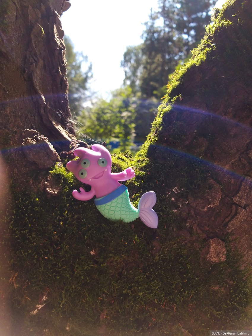 Страшный нестрашный лес — Болталка и разговоры обо всем: жизнь (фото 9)