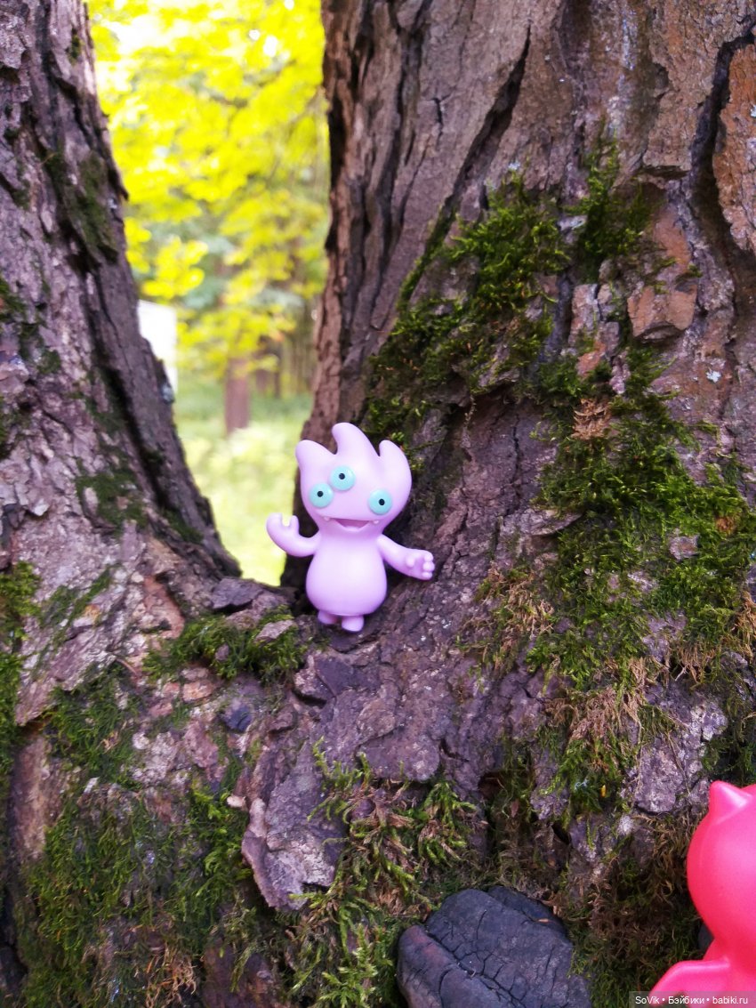 Страшный нестрашный лес — Болталка и разговоры обо всем: жизнь