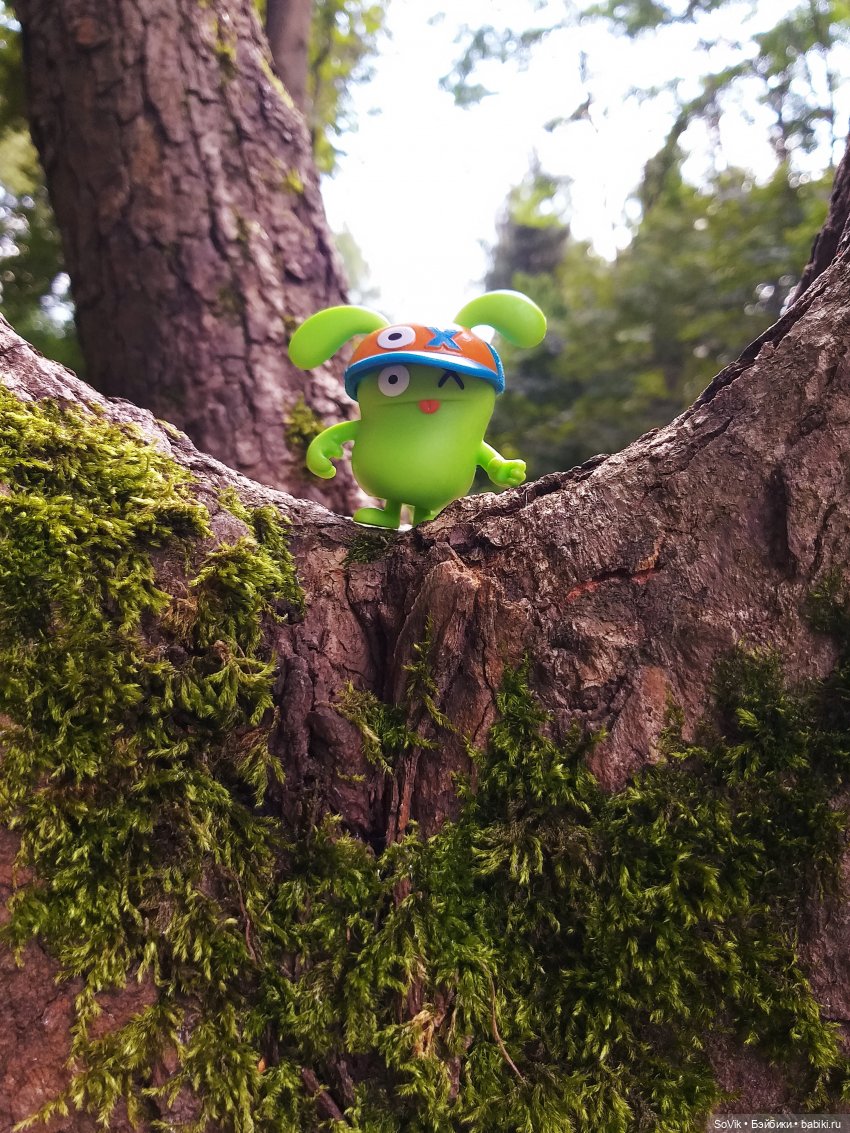 Страшный нестрашный лес — Болталка и разговоры обо всем: жизнь