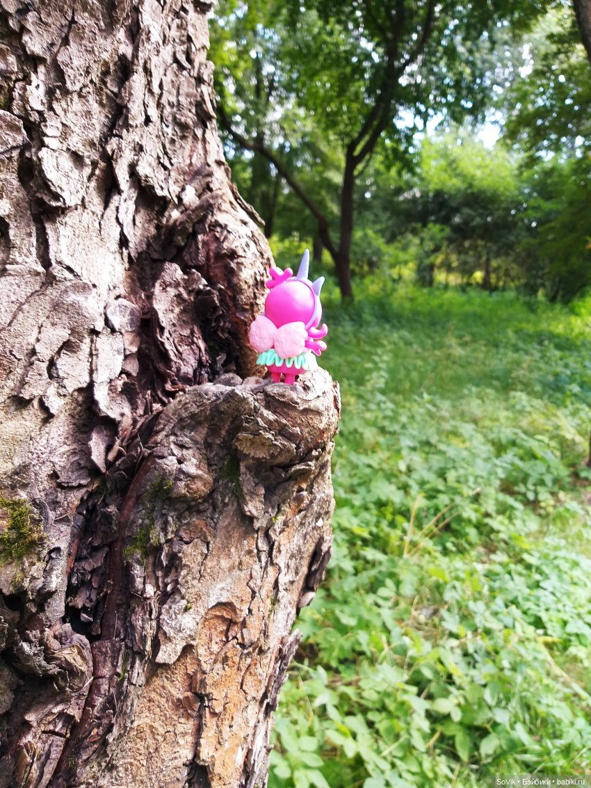 Страшный нестрашный лес — Болталка и разговоры обо всем: жизнь