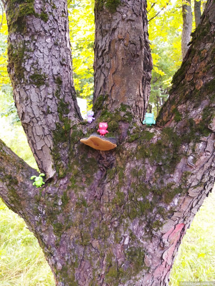 Страшный нестрашный лес — Болталка и разговоры обо всем: жизнь