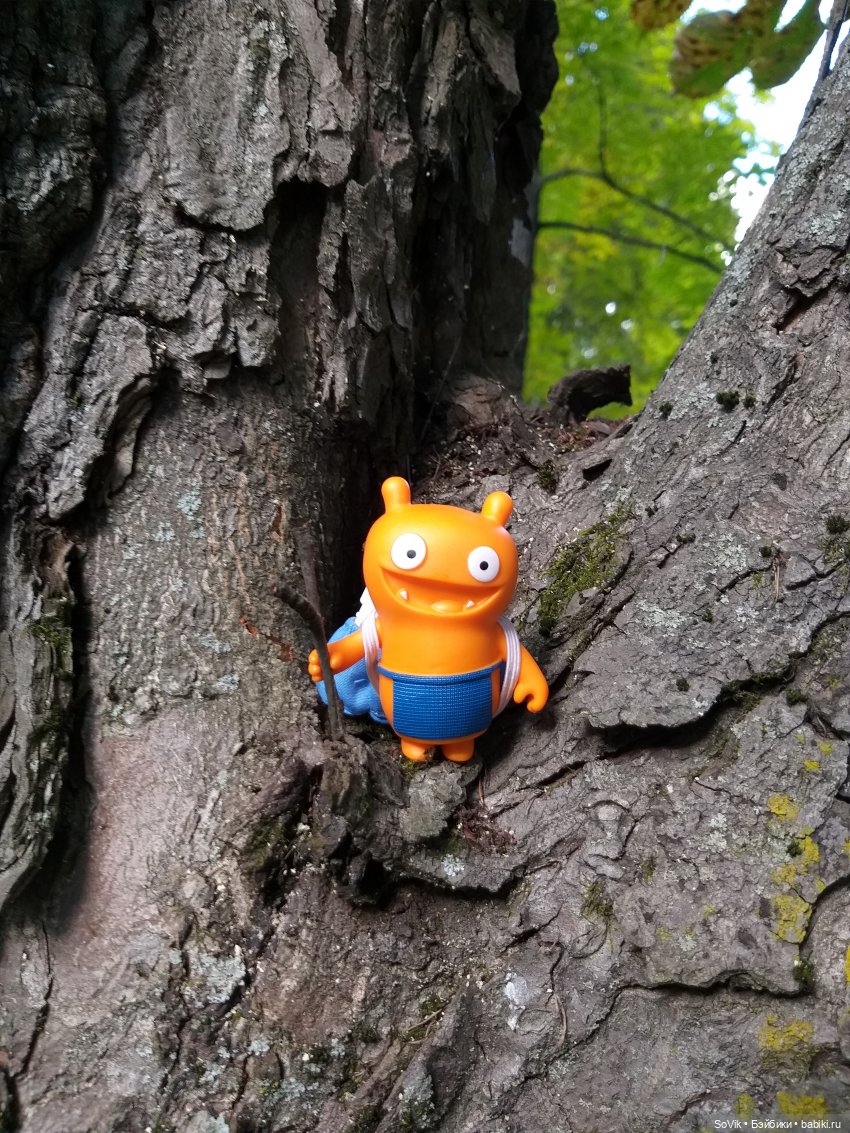 Страшный нестрашный лес — Болталка и разговоры обо всем: жизнь