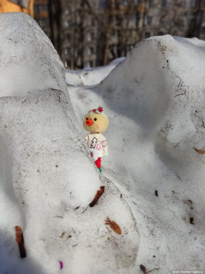 Рождение уточки Маруси или охота пуще неволи (фото 8)