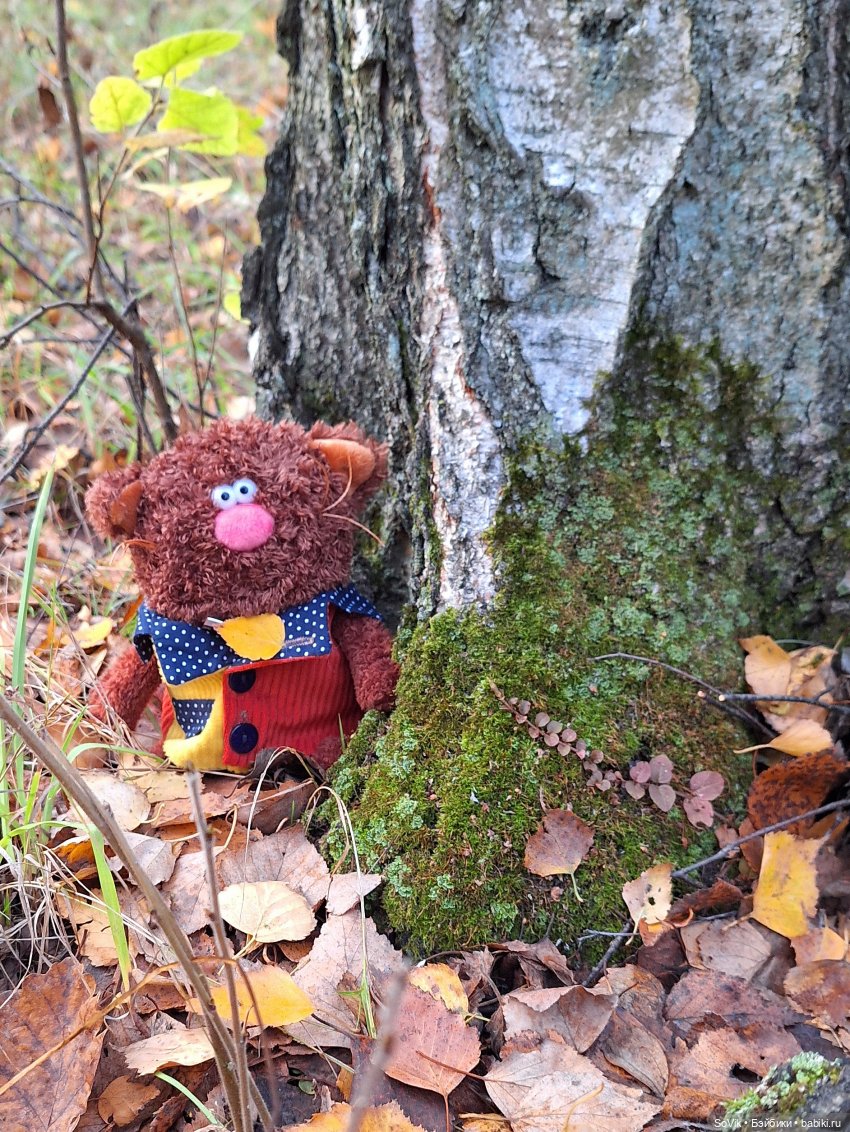 Без кота и прогулка не та (фото 9)