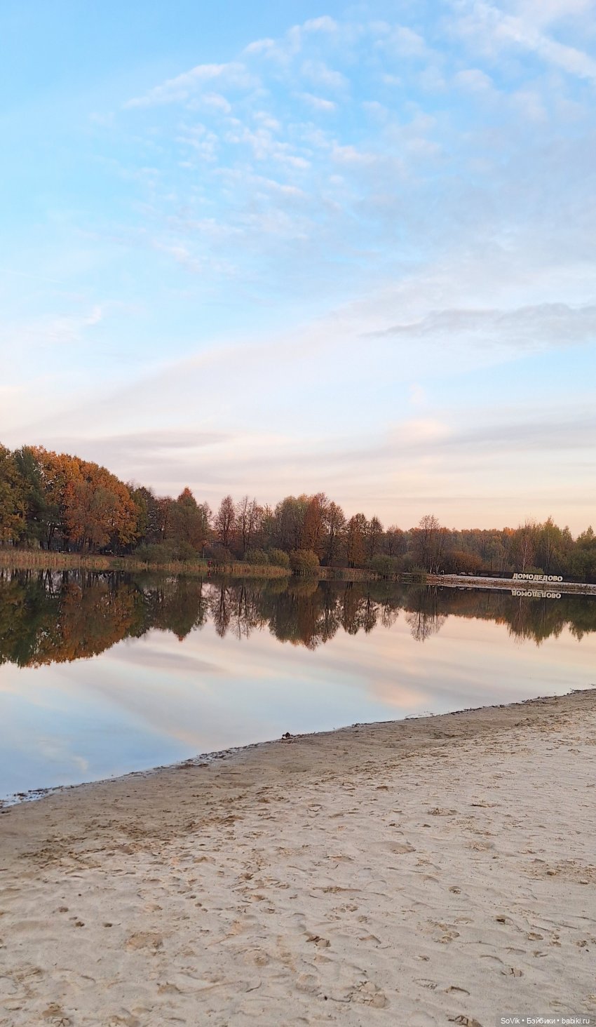 Без кота и прогулка не та