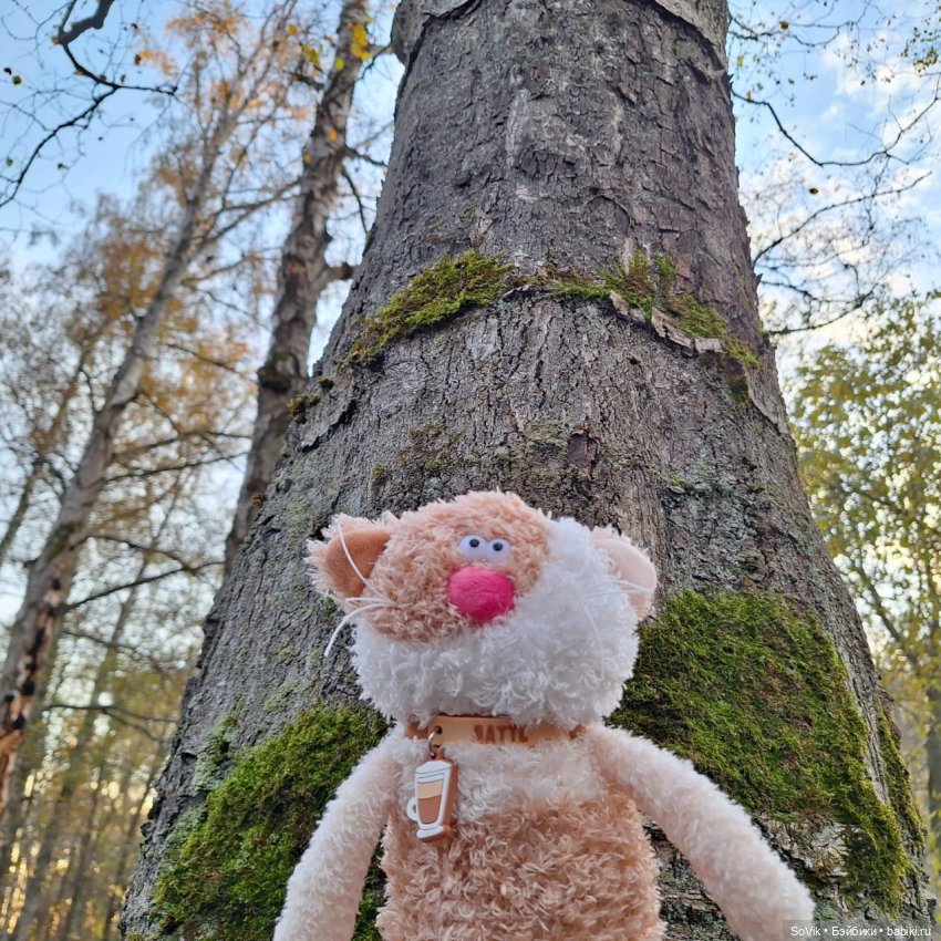 Без кота и прогулка не та (фото 6)