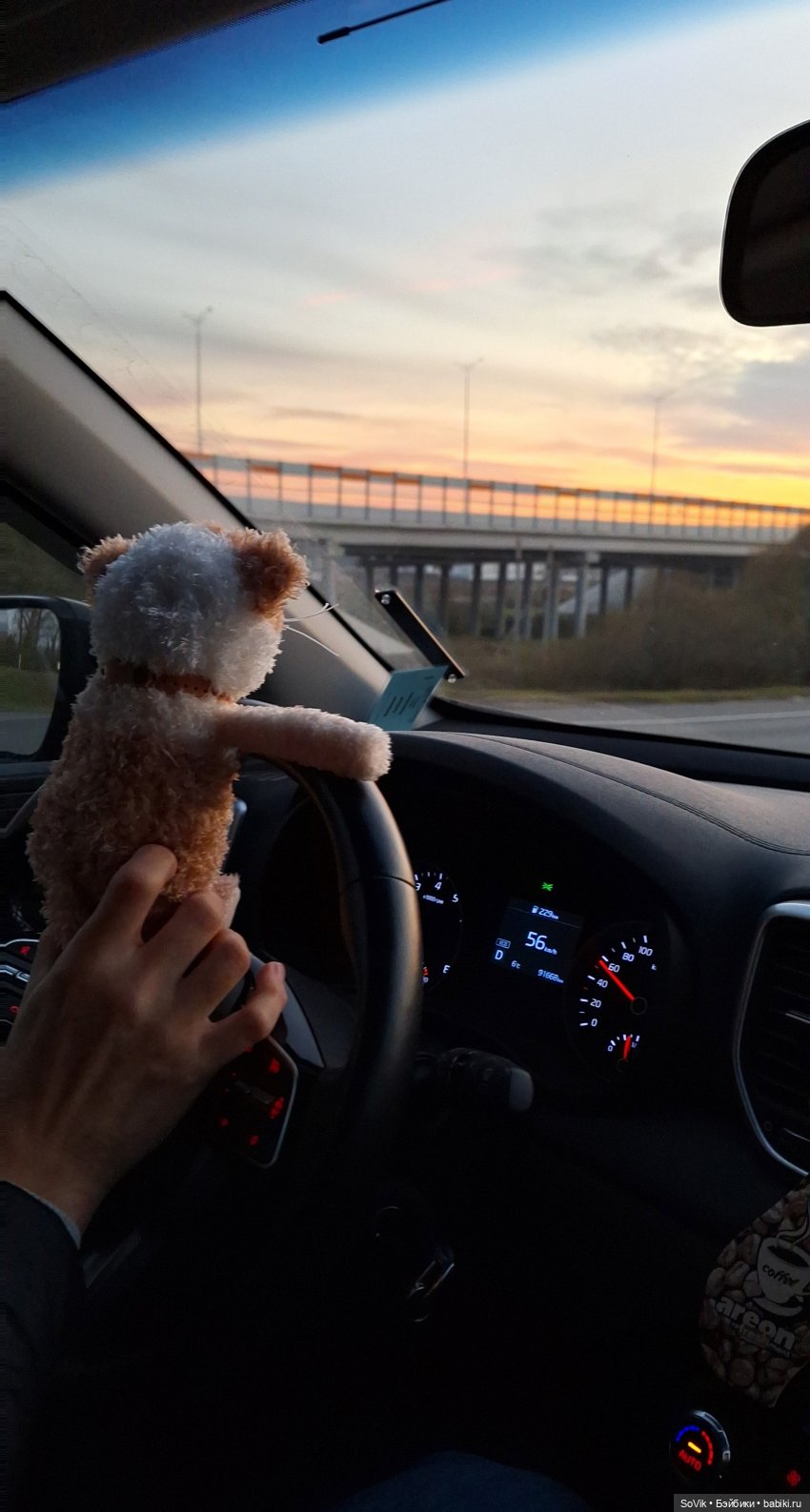 Без кота и прогулка не та