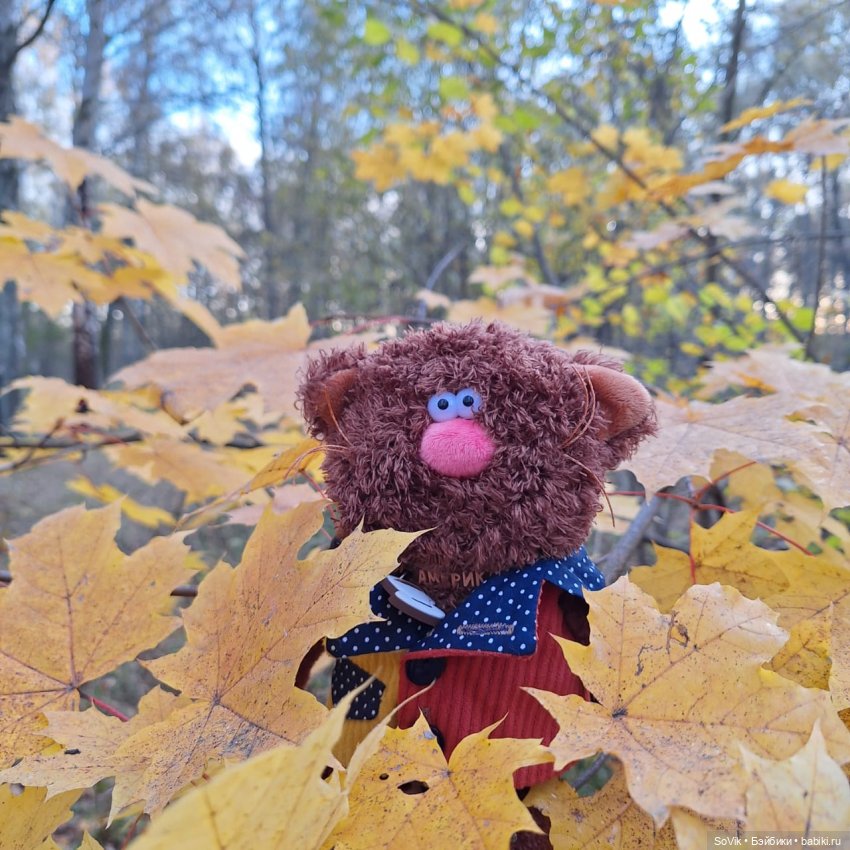 Без кота и прогулка не та (фото 4)