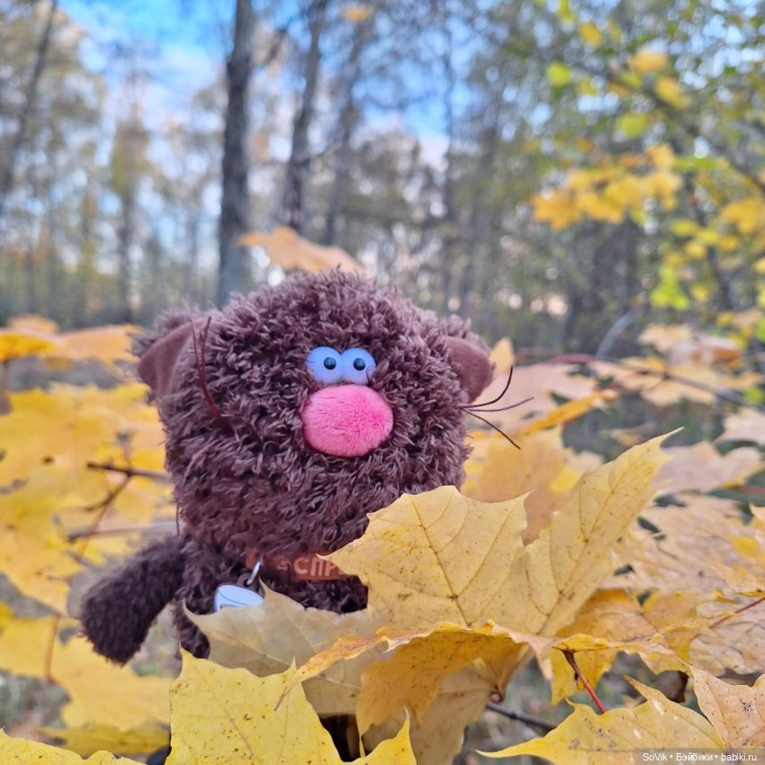 Без кота и прогулка не та (фото 5)