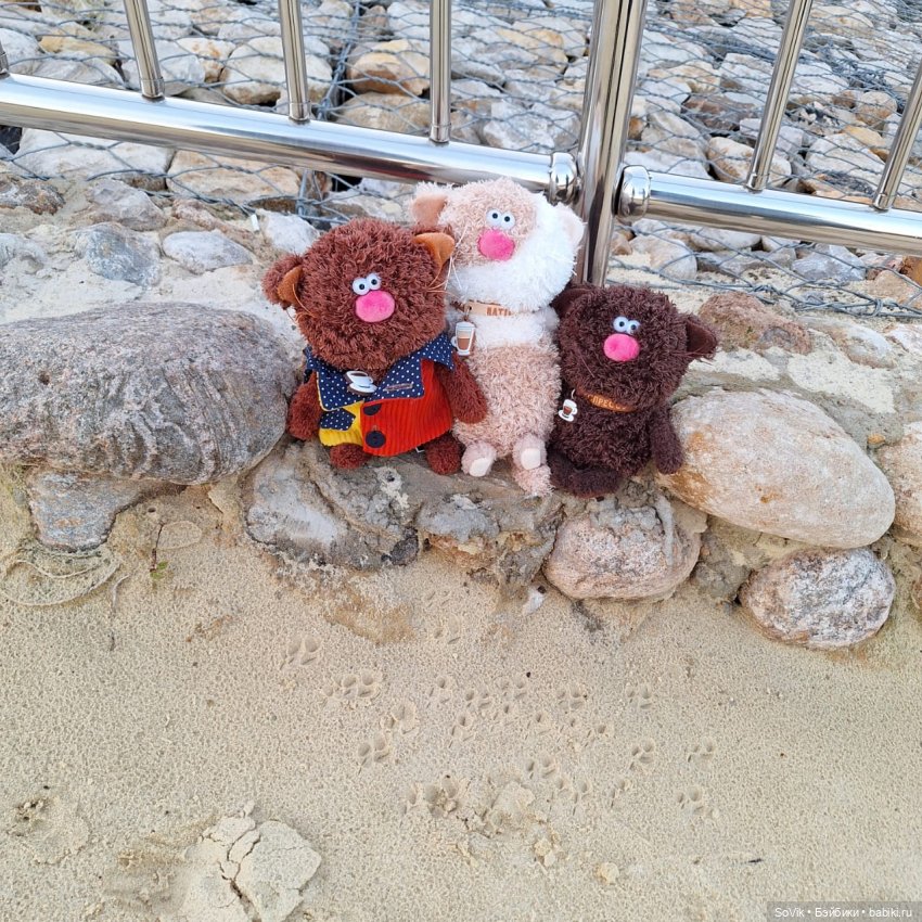 Без кота и прогулка не та