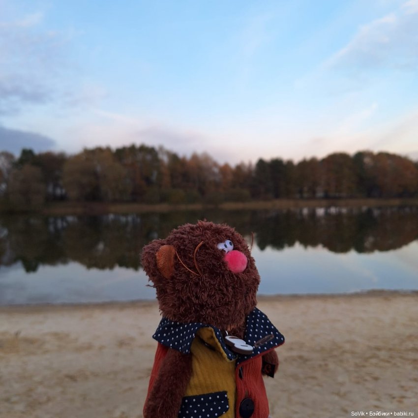 Без кота и прогулка не та