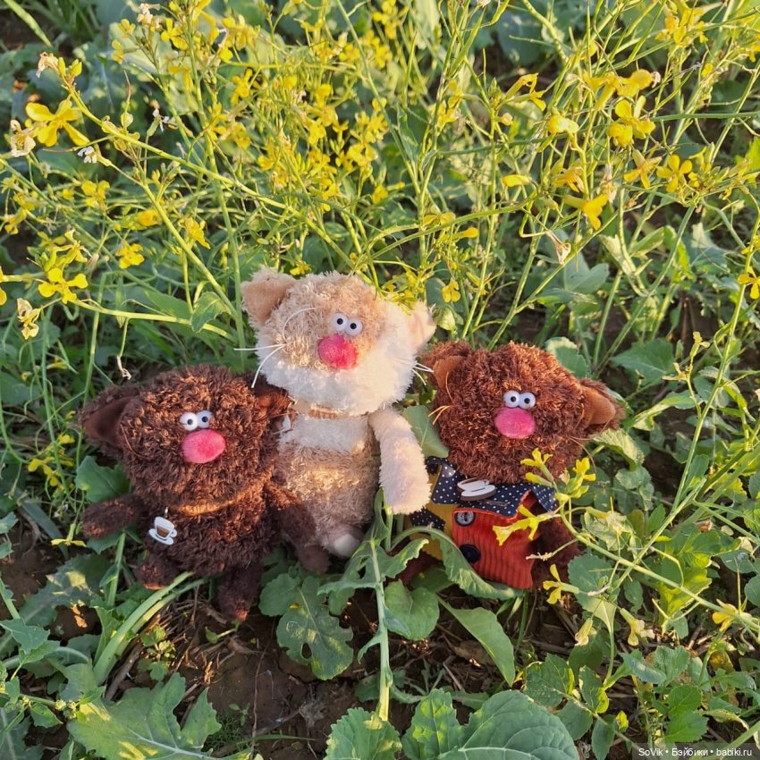 Без кота и прогулка не та (фото 3)