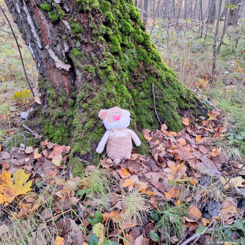 Без кота и прогулка не та (фото 10)