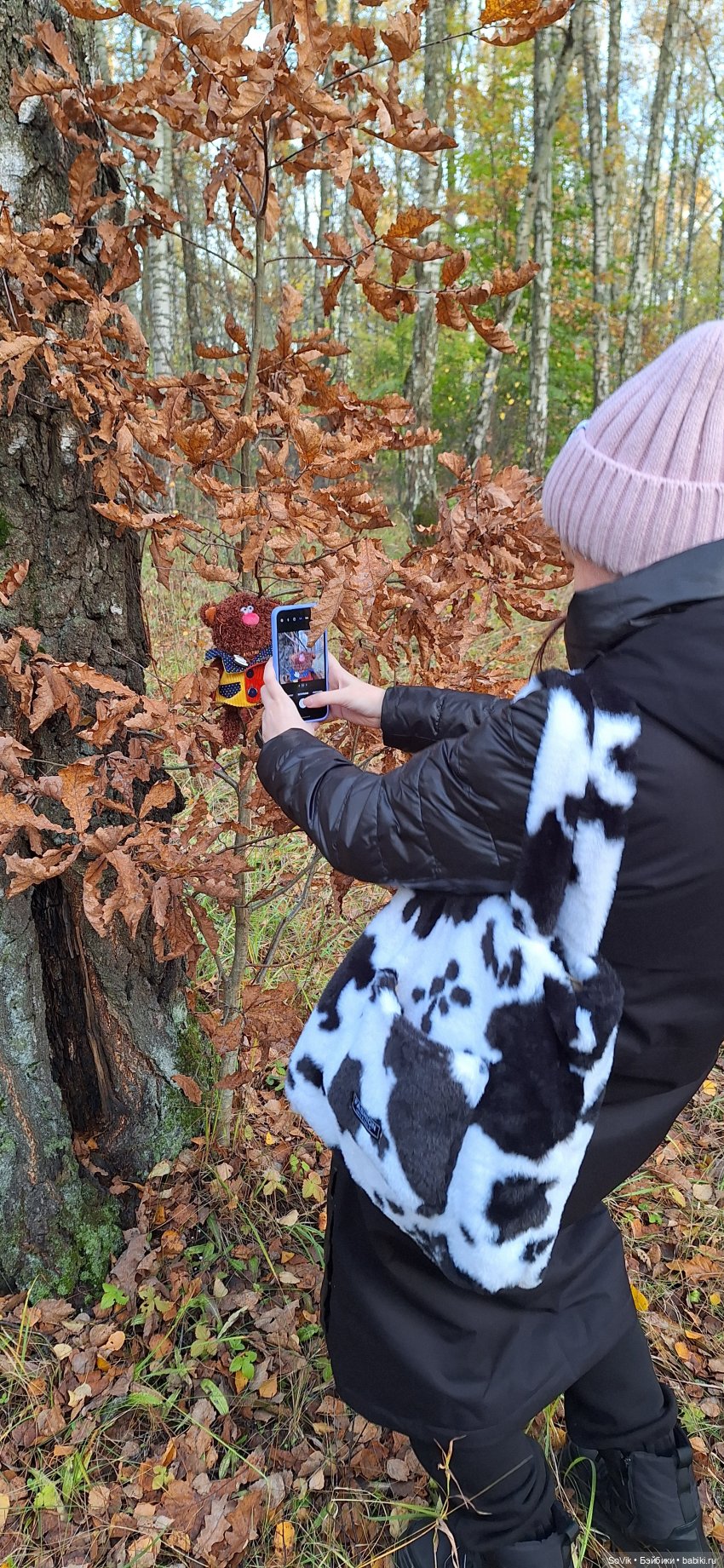 Без кота и прогулка не та