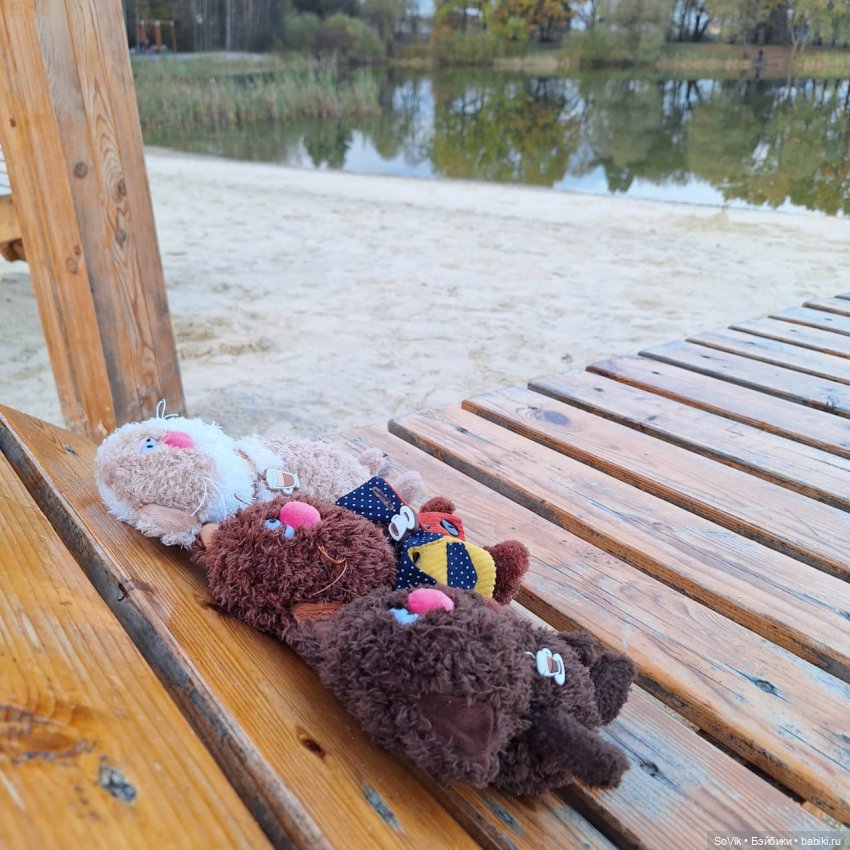 Без кота и прогулка не та