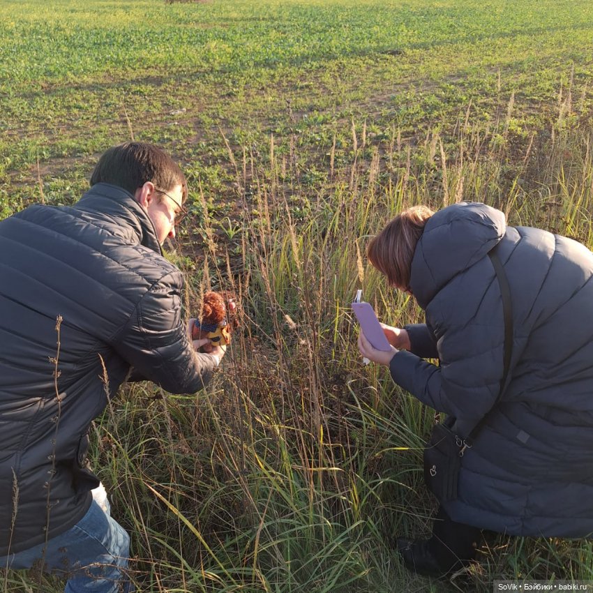 Без кота и прогулка не та