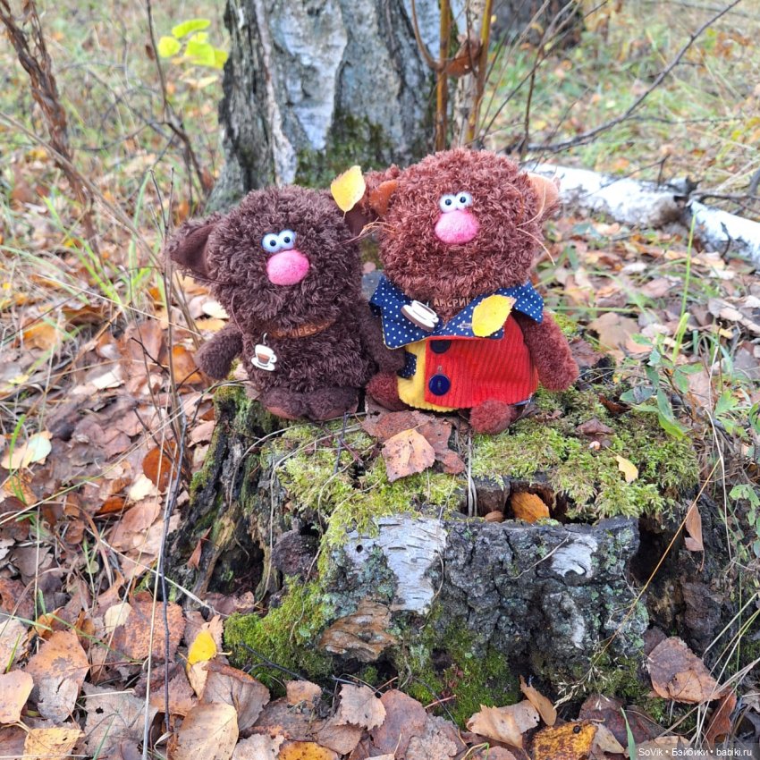 Без кота и прогулка не та (фото 8)